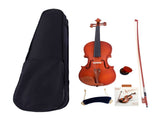 GV101 4/4 Acoustic Matt Violin Case Bow Rosin Strings Shoulder Rest Natural 42402082