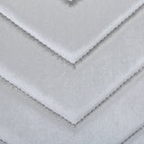 Eva 2 Piece Stainless Steel Legs Chair Finish with Velvet Fabric in Silver 733569295678