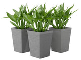 Set of 3 Plastic Flower Pots 02357797