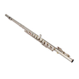 Nickel Plated C Closed Hole Concert Band Flute Silver 38901446