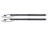 2Pcs Rear Power Hatch Lift Support Fits for INFINITI EX35 FX50 QX70 Sport Utility 3.5L 5.0L 3.7L 62355964
