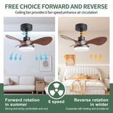 ZUN 24" Black small Ceiling Fan with Light remote control ,Modern Low Profile Ceiling Fan, 6-Speeds W2352P224344