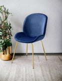 Chuchip Blue Velvet & Gold Finish Side Chair B2726P243291