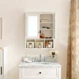 ZUN Bathroom Storage Cabinet, Medicine Cabinets for Bathroom with Mirror, 2 Doors 2 Adjustable Shelf + 3 W1801109067