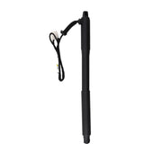 Power Hatch Lift Strut fit for BMW X5 E70 Rear Left Right 4.4 4.8L 07-13 51247294588 31086805