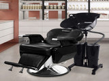 Portable Shampoo Bowl with Electric Pump and 2 Water Tanks, Portable Hair Washing Sink with Sprayer 02891225