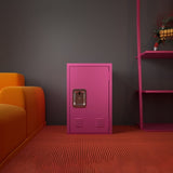 24" H Locker Cabinet, Metal Locker Cabinet with 1 Doors, Small Metal Locker,Lockable W396100786