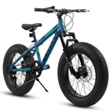 V20235 20 Inch Fat Tire Bike Adult 7 Speed Mountain Bike, Dual Disc Brakes, High Carbon Steel Frame, W709P285166