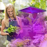 LED Grow Light Full Spectrum Hanging 225 LEDs Plant Grow Lamp Indoor Grow Light for Greenhouse 74605961