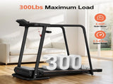 Walking Treadmill for Senior with Long Handrail, 300 lbs Capacity, 2.5HP Quiet Motor, Recovery 21573345