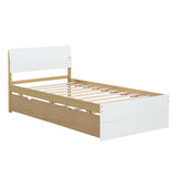 Modern Twin Bed Frame For White High Gloss Headboard and Footboard With Light Oak Trundle W697131327