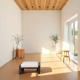 Pedal, 2 pieces, light brown seat cushion YB15052 B120P293359