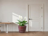 Handmade Glazed Ceramic Planter Set of 3, 16/13/10 Inch Diameter, Horizontal Rib Design, for W3273P321532