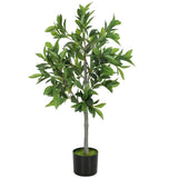Artificial Plant/Green plants 13793851