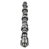 Camshaft Replacement for 2006-2008 Hemi V8 5.7L Engine Dodge Ram 1500 2500 3500 Laramie 4x2 4x4 24941437
