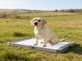 Holder Foldable Dog Litter Box 88716845