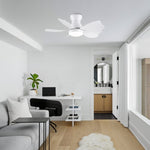 ZUN 30 In Small Kid's Ceiling Fan Lighting with Remote Control for Small Children Room W1367103341