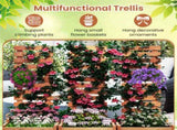 2-in-1 Wooden Raised Garden Bed with Trellis - Solid Wood , 16"x16"x48" Size 12098598
