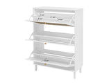 Rattan 3 Door Shoe Rack, Freestanding Modern Shoe Storage Cabinet, for Entryway W688P211259