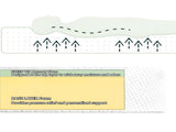 MADE IN US, 6" FULL SIZE Green Tea Memory Foam Mattress in Box, Fiberglass Free, White W311P371355