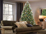 Artificial 5ft Green LED-lit Christmas Tree with 1113PE/PVC Mixed Branch Tips,Red fruit and Pine 09173500