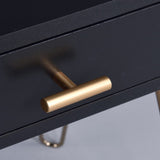 Hailey Black and Gold Wood Storage End Table T2574P164785