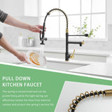 Commercial Kitchen Faucet with Pull Down Sprayer, Single Handle Single Lever Kitchen Sink Faucet W1932P155963