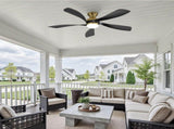 52-Inch Ceiling Fan with Light, Dimmable Light with Memory Function, DC Motor, Quiet Operation, 5 W934P608497