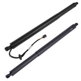 Lift Cylinder LeftRight Fit for Hyundai Tucson Sport Utility 1.6L 2.5L L4 2022-2024 4-Door 05095474