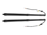 2PC Rear Tailgate Lift Support Struts fit for Lexus RX350 3.5L 2016-2019 6892048031 15174084