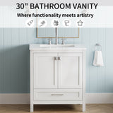 30" Bathroom Vanity with Sink Combo, Fully Assembled Bathroom Sink Cabinet with Marble Countertop, W1573P237851