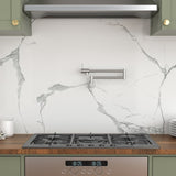 Pot Filler Faucet - Wall Mount Kitchen Sink Faucet Folding Stretchable with Single Hole Two Handles, W1243P324203