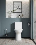 1.1/1.6 GPF Elongated Comfort Height Floor Mounted One-Piece Toilet, CUPC Certified, WaterSense B2724P248739
