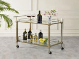 Aditya Mirrored & Antique Brass Finish Serving Cart B2726P448767