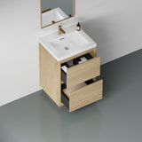 24" Freestanding Bathroom Vanity with Sink, Bathroom Storage Vanity Cabinet with Stone Resin W1573P211190