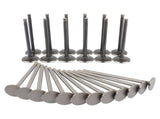 Engine Valve Kit Set Intake Exhaust for Dodge Grand Caravan Chrysler 300 3.5 4.0 04663836 39053271