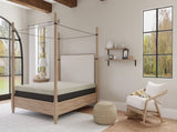 Omne Sleep Queen Medium Gel Memory Foam Tight Top 10 Inch Mattress B04764849