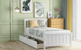 Twin size Platform Bed with Two Drawers, White WF195105AAK