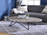 Allis Weathered Gray Oak & Metal Finish Coffee Table B2726P281893
