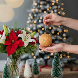 6PCS Set 3.9" Glass Christmas Ball Ornaments Shimmering Hanging Decorations for Holiday Tree & Party 58156955