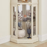 Corner Glass Cabinet Lighted Curio Cabinet Corner Display Case for Living Room, Curio Cabinet, W2275P194429