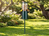 Standing Bird Feeder Squirrel-Proof, 4 Feeding Ports with Perches Heavy-Duty Metal & PC Construction 05174966