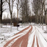 Plastic Interlocking Deck Tiles, 11.8"x11.8", Patio Flooring Outdoor Waterproof All W2882P204149