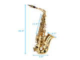 Alto Drop E Paint Gold Saxophone Paint Gold 25180517