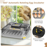 48 Egg Incubator for Hatching Chicken, Duck, Quail & Parrot Eggs Automatic Egg Turning, Humidity 55831311