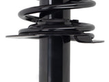 Rear Shock Strut FIT For Honda Accord 2008-2012 2.4 LITER L4/3.5LITER V6 Sedan/ Coupe 11616270
