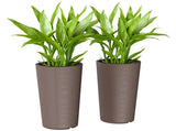 Metal Planter Box 14506287