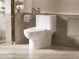 One Piece Toilet with Comfort Chair Seat ADA Height 17", Powerful Dual Flush Modern Toilet, 1.1/1.6 W3192P279683
