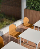 4-PackTropical Orange Chairs Red Oak Wood Legs & PP Seat, Indoor Dining & Living Room Furniture W3450P322871