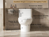 One Piece Toilet with Comfort Chair Seat ADA Height 17", Powerful Dual Flush Modern Toilet, 1.1/1.6 W3192P279683